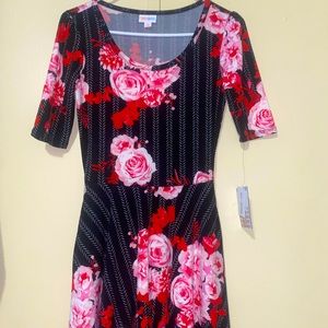 Lularoe Nicole XS